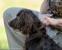 20180602-shrl-0101