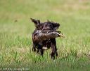 20180602-shrl-0113