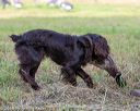 20180602-shrl-0121