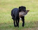 20180602-shrl-0149
