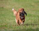20180602-shrl-0174