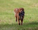 20180602-shrl-0178