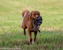 20180602-shrl-0180