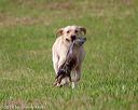 20180602-shrl-0226