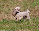 20180602-shrl-0251