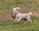 20180602-shrl-0254