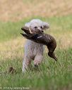 20180602-shrl-0265
