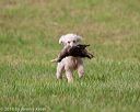 20180602-shrl-0275