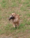 20180602-shrl-0287