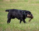 20180602-shrl-0336