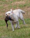 20180602-shrl-0353