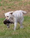 20180602-shrl-0355