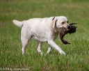20180602-shrl-0369