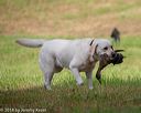 20180602-shrl-0373