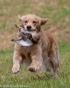 20180602-shrl-0416