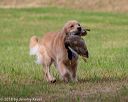20180602-shrl-0436