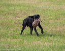 20180602-shrl-0464