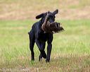 20180602-shrl-0474