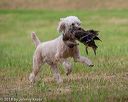 20180602-shrl-0522