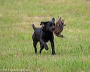 20180602-shrl-0541