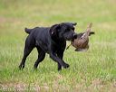 20180602-shrl-0546