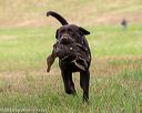 20180602-shrl-0585