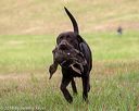 20180602-shrl-0586