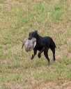 20180602-shrl-0593