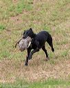 20180602-shrl-0597