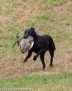 20180602-shrl-0600
