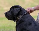 20180602-shrl-0647
