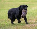 20180602-shrl-0656