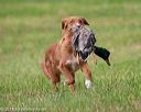 20180602-shrl-0692