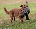 20180602-shrl-0699