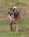 20180602-shrl-0711