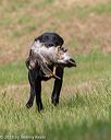 20180602-shrl-0744