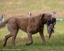 20180602-shrl-0807