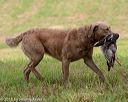 20180602-shrl-0809