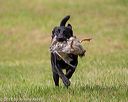 20180602-shrl-0835