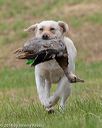 20180602-shrl-0856