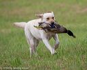 20180602-shrl-0867