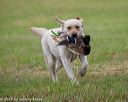 20180602-shrl-0870