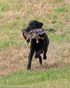 20180602-shrl-0877