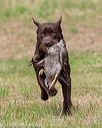 20180602-shrl-0918