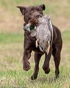 20180602-shrl-0929