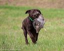 20180602-shrl-0943