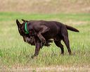 20180602-shrl-0946