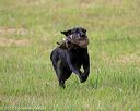 20180602-shrl-0969
