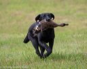 20180602-shrl-0975