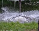 20180602-shrw-0152